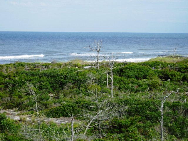 P6020002