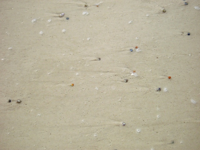 P6020012
