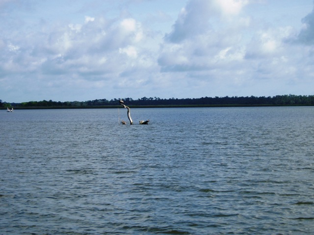 P6030021