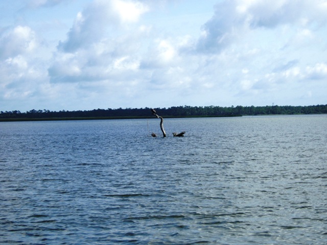 P6030022
