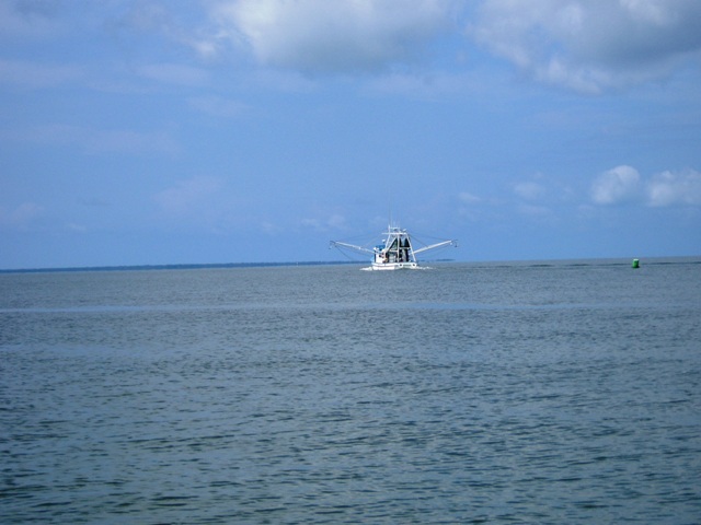 P6040041