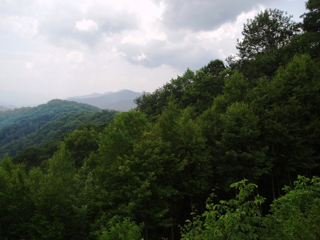 P7240108