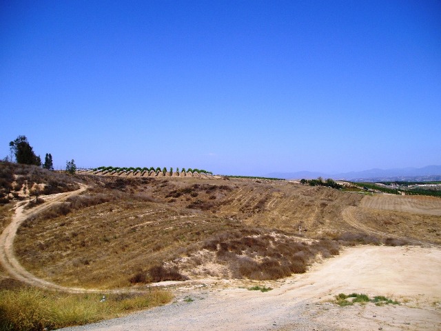 P7050039