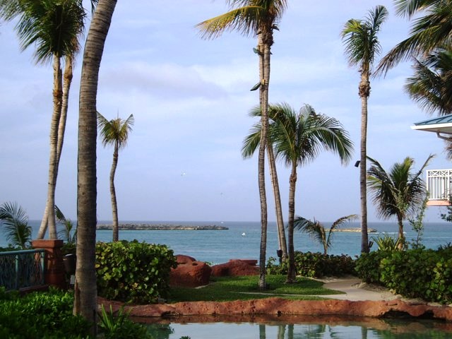 P1140089