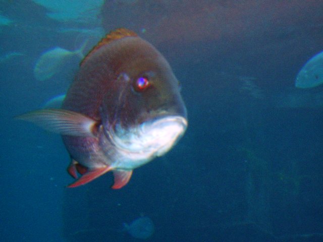 P1150003