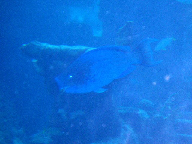 P1150004