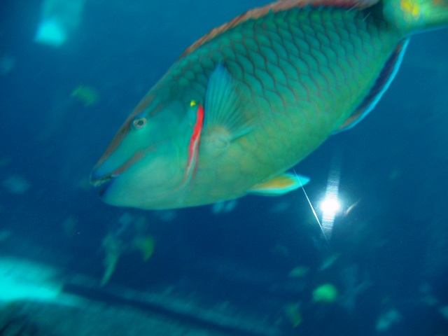 P1150007