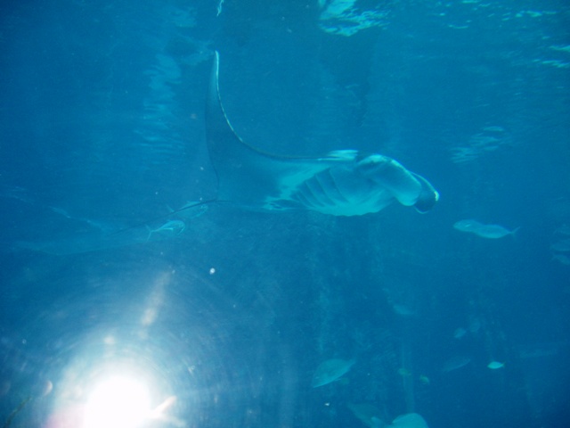 P1150009