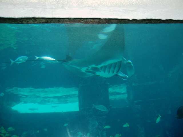 P1150010