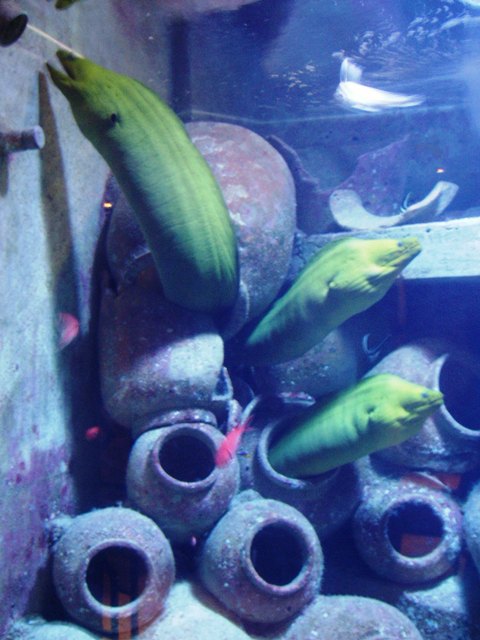 P1150012