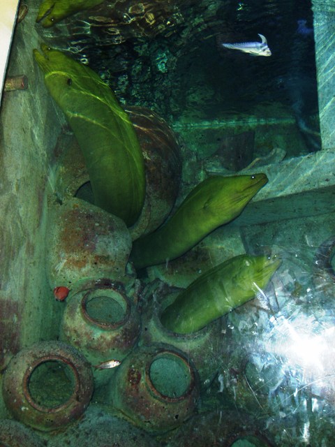P1150013