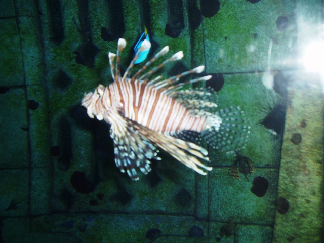 P1150023