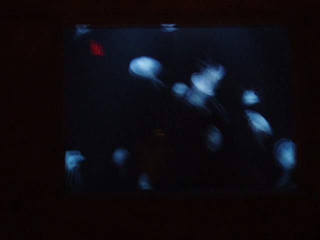 P1150027