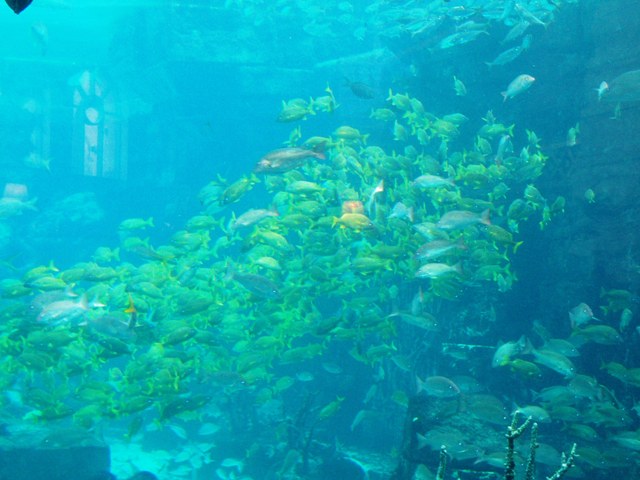 P1160060