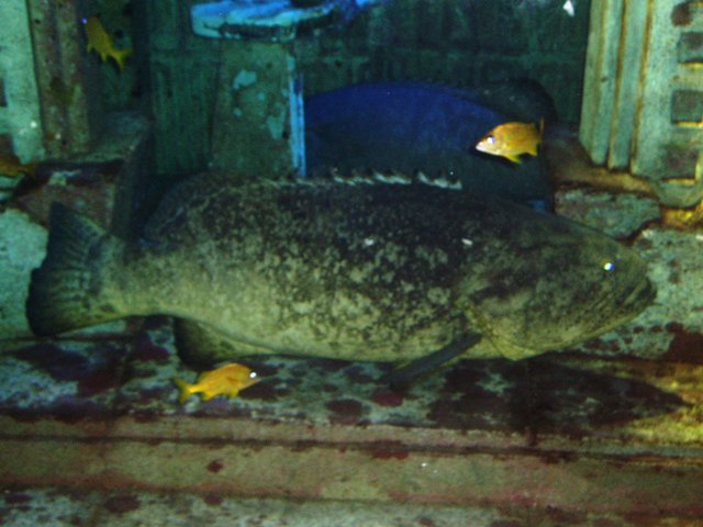 P1160062