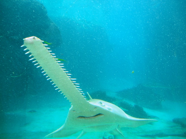 P1160071