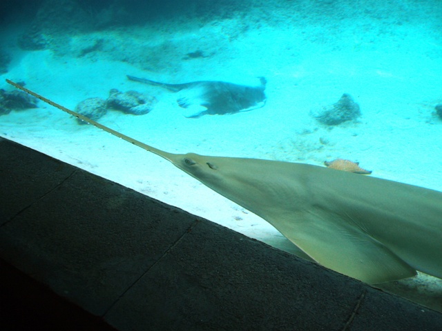 P1160075
