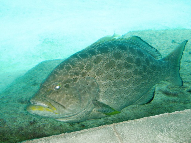P1160076