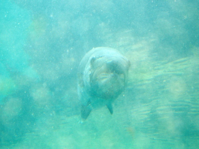 P1160077
