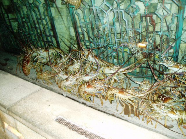 P1160084