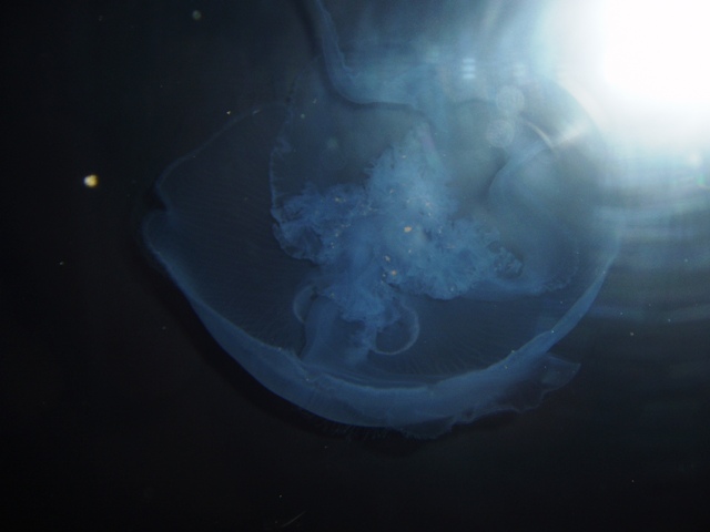 P1160088
