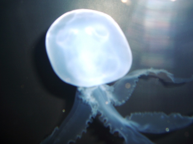 P1160089