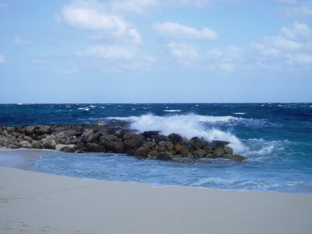 P1170006