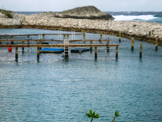 P1170026