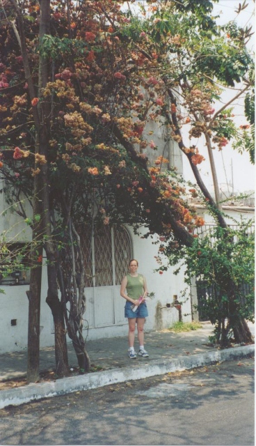 Mexico_LaCrucecita