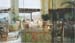 Mexico_DiningRoom